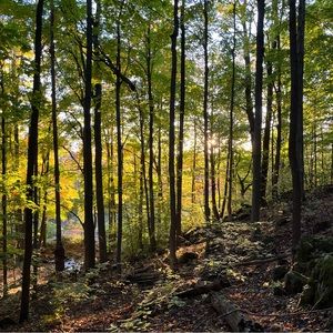 Meet your Posher, Gill